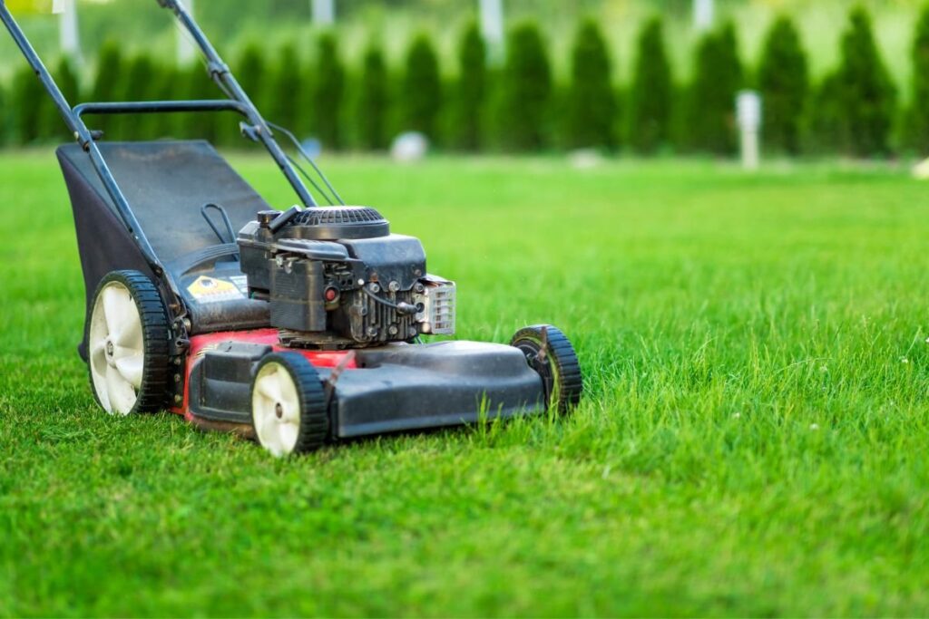 lawn care near me