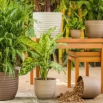 Sustainable planter materials, boosting eco-friendly goals, for state-wide landscape projects