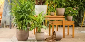 Sustainable planter materials, boosting eco-friendly goals, for state-wide landscape projects