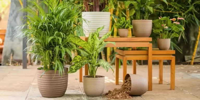 Sustainable planter materials, boosting eco-friendly goals, for state-wide landscape projects