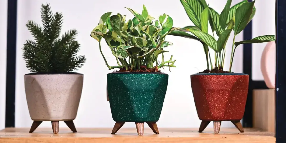 https://justpots.com/pages/texas-wholesale-planters-pots
