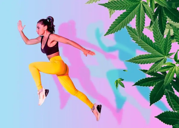 dispensaries in ottawa