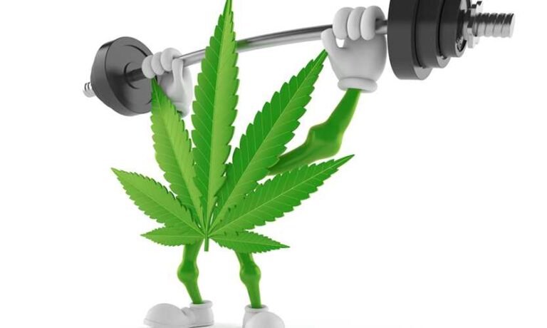 Cannabis and Fitness: A Look at Post-Workout Recovery Benefits