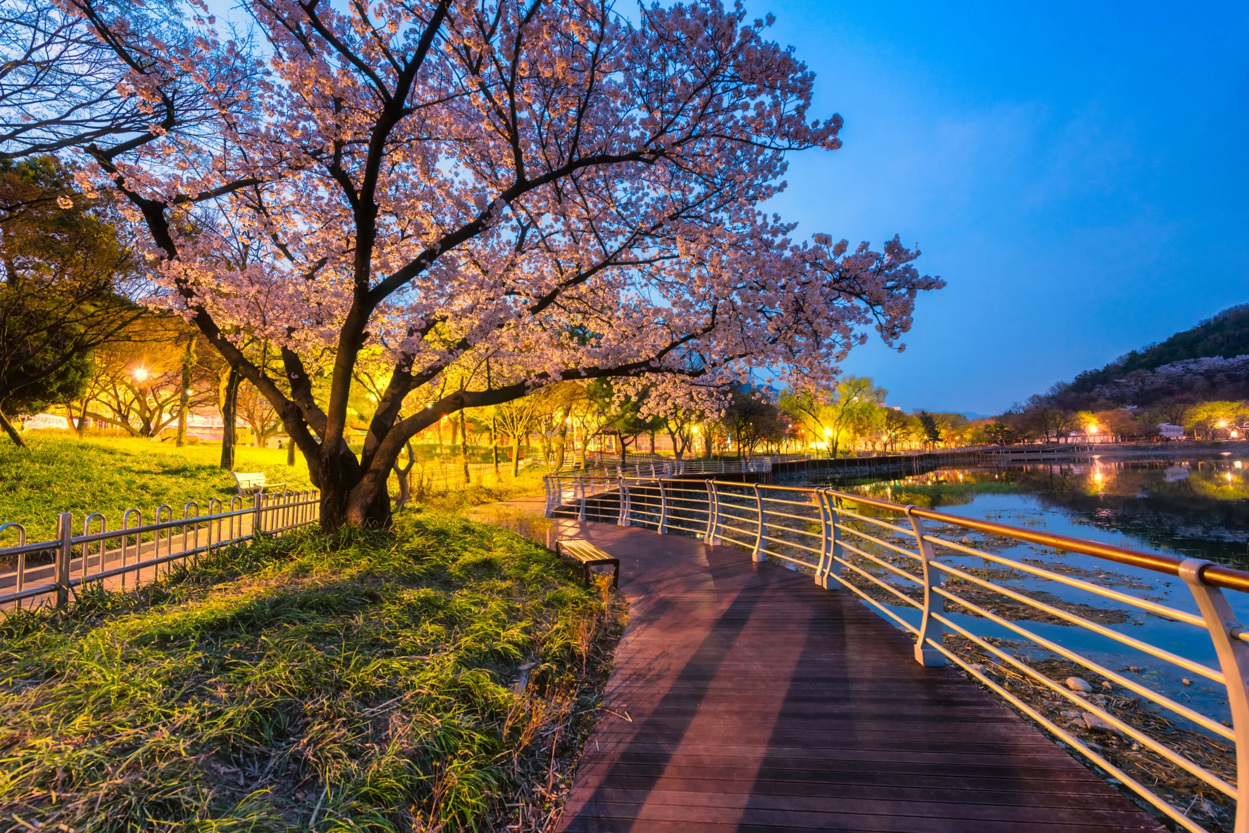 Daegu's largest nightlife community 