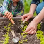 Building gardening confidence through better seed understanding