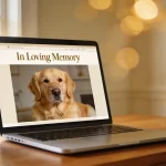 EverMissed concept enhancing emotional connections within digital remembrance ecosystems globally