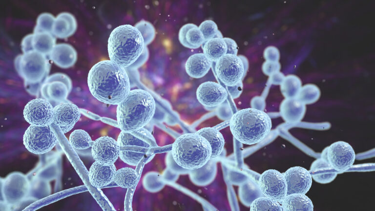 Investigating LL 37 Through Cellular Defense Research
